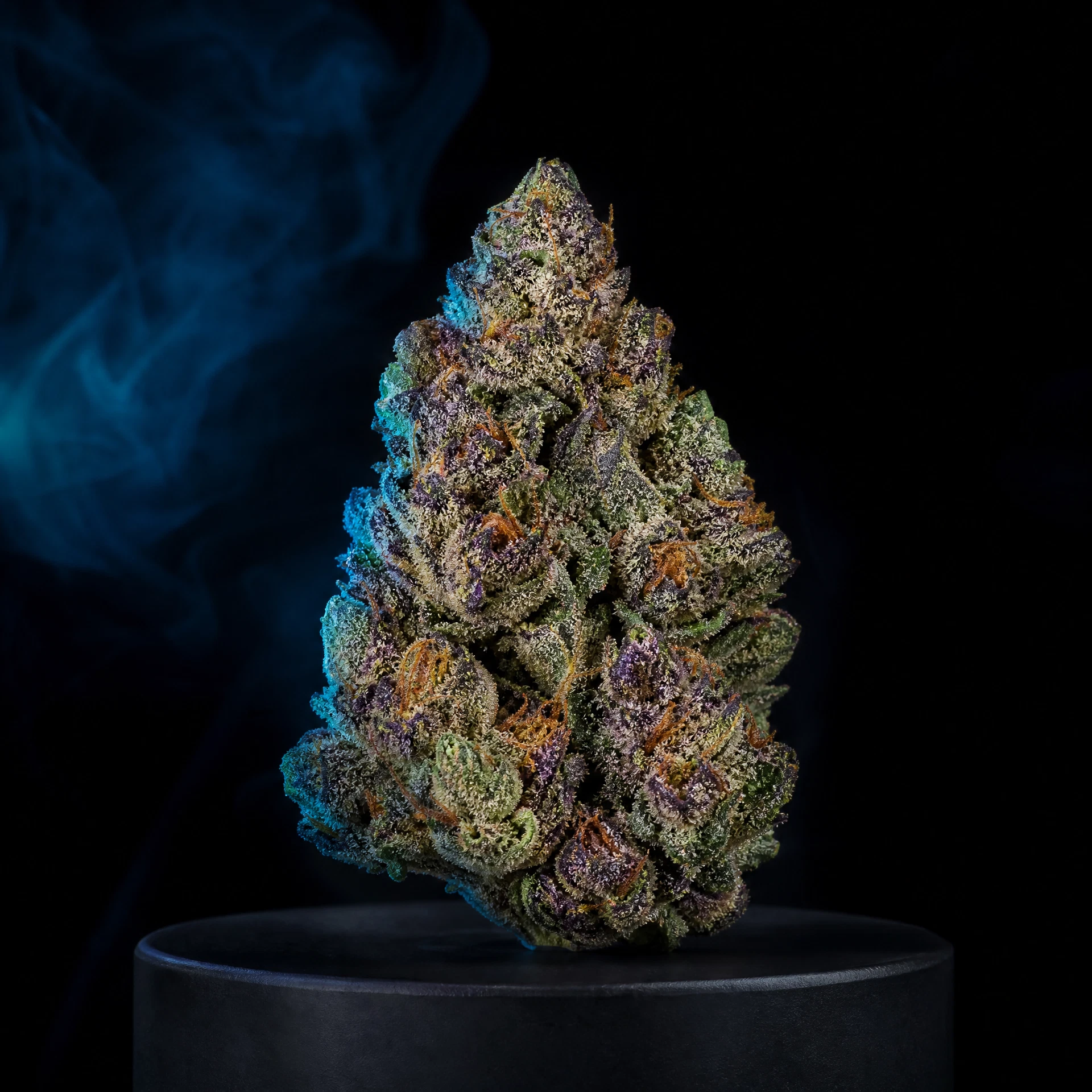 Bloobiez — Living-Soil Flower — 1oz