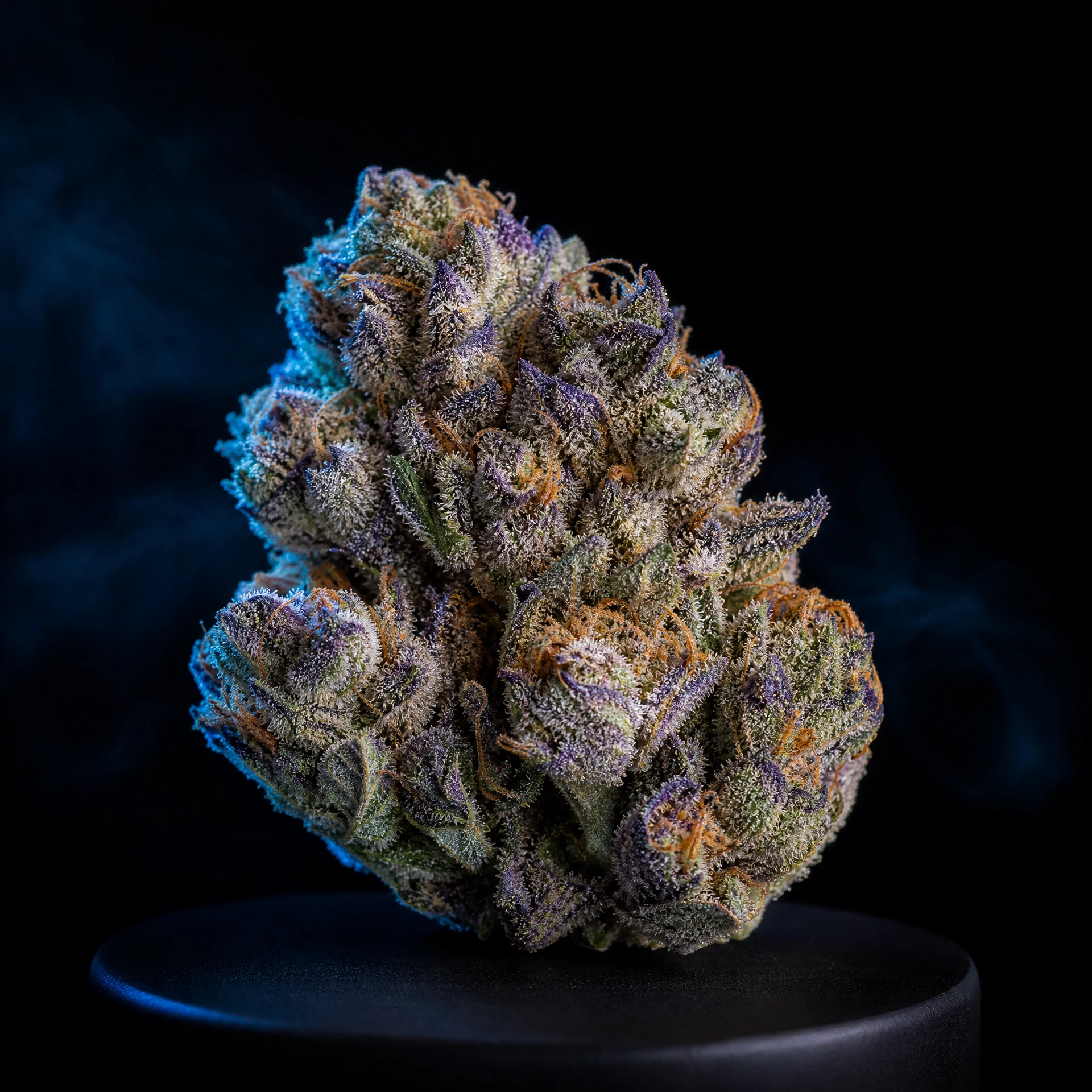 Blue Dream — Living-Soil Flower