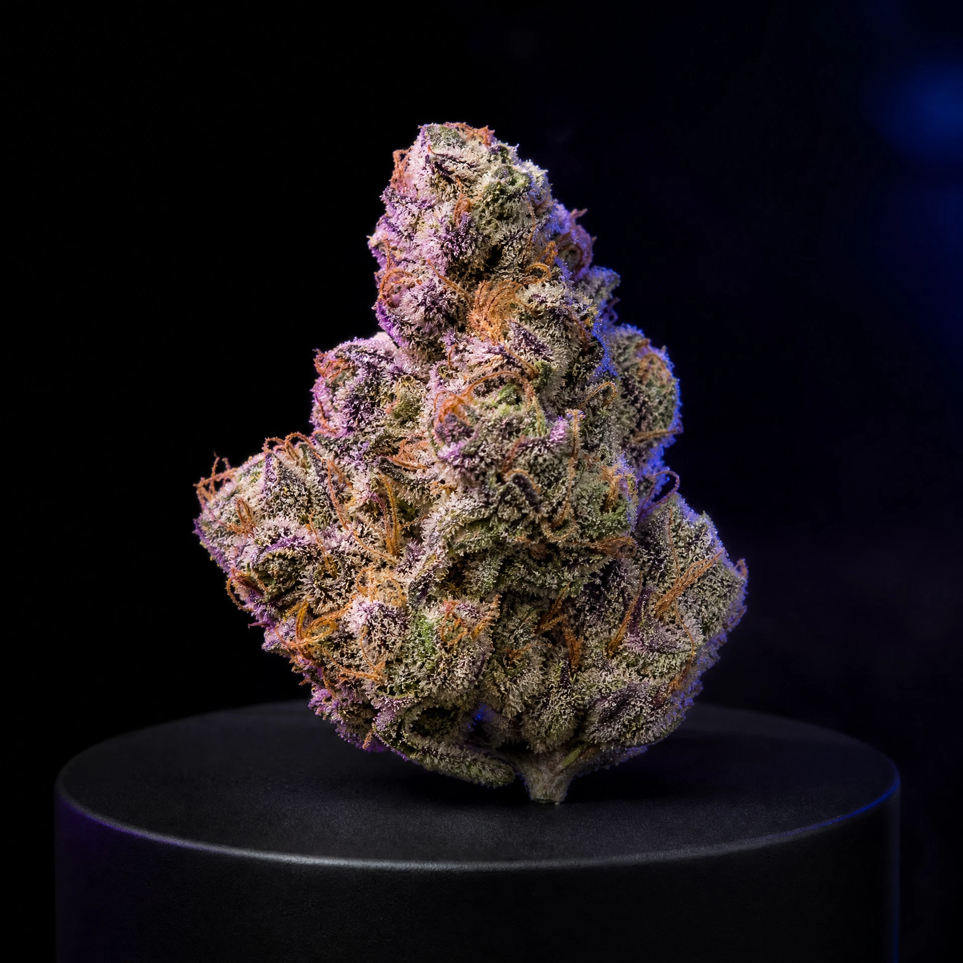 Crystal Gushers — Living-Soil Flower — 1oz