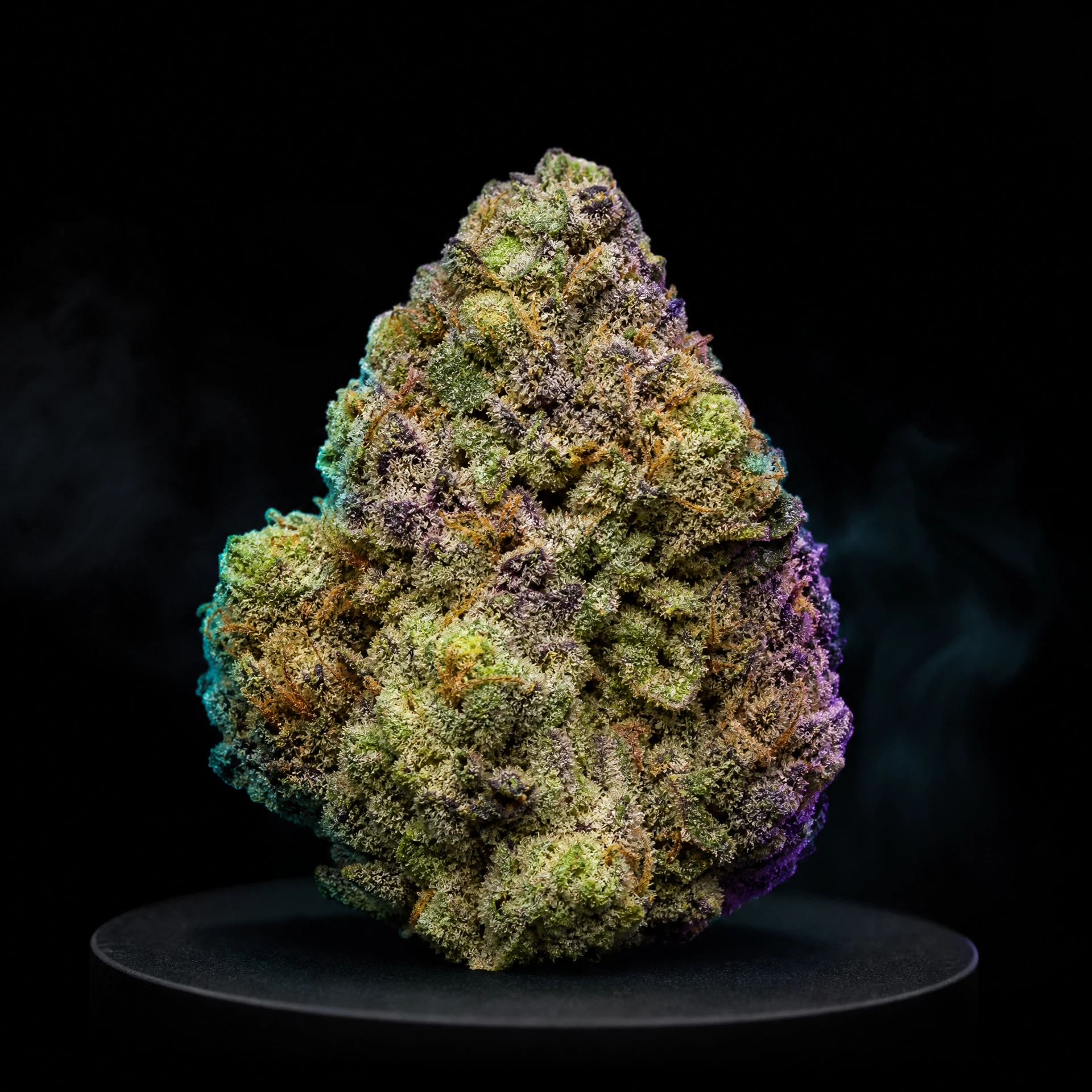 Focus F5 — Living-Soil Flower — 1oz