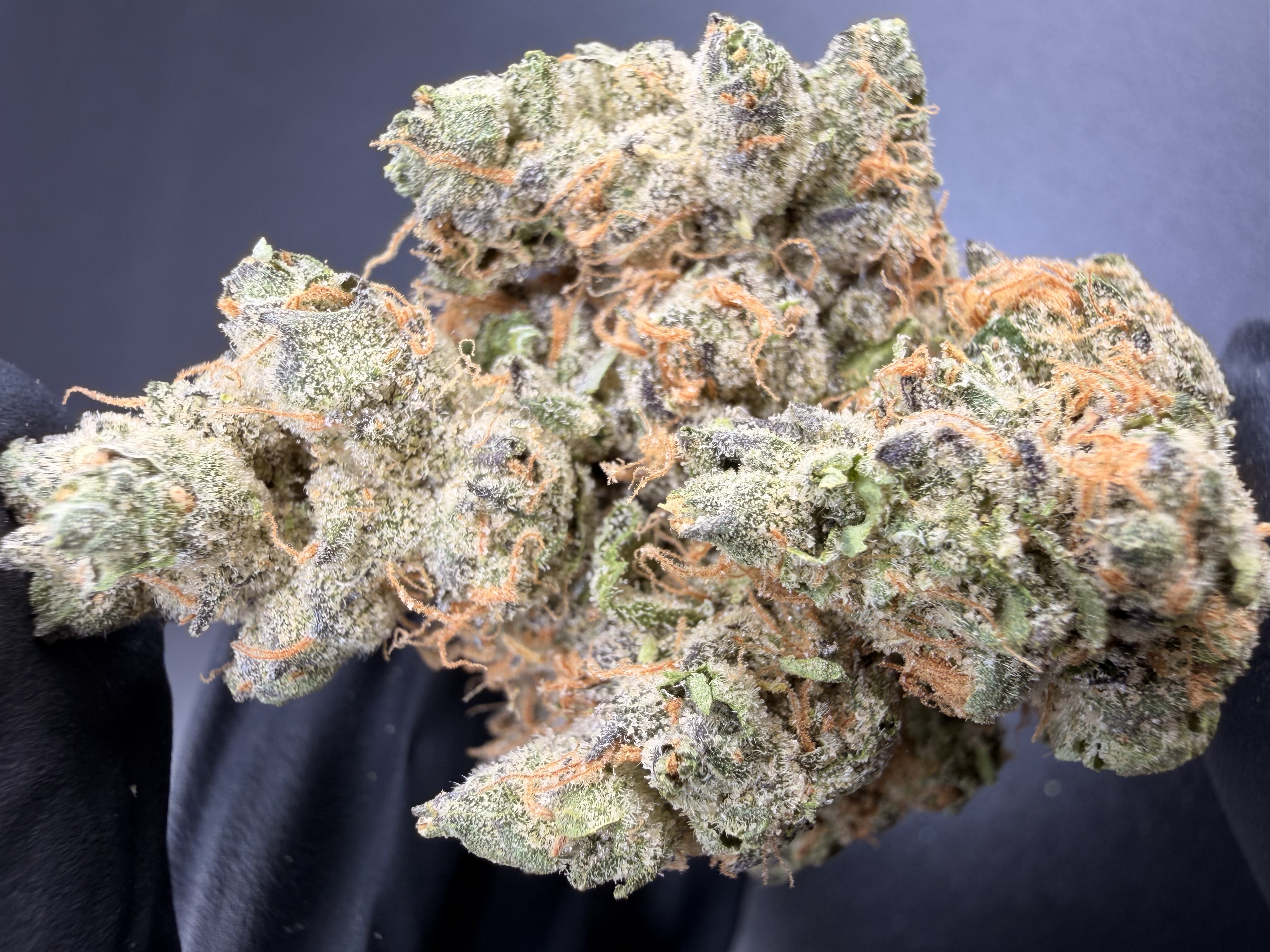 Pie Mintz #11 — Cherry Pie × Kush Mintz | Living-Soil THCa Flower