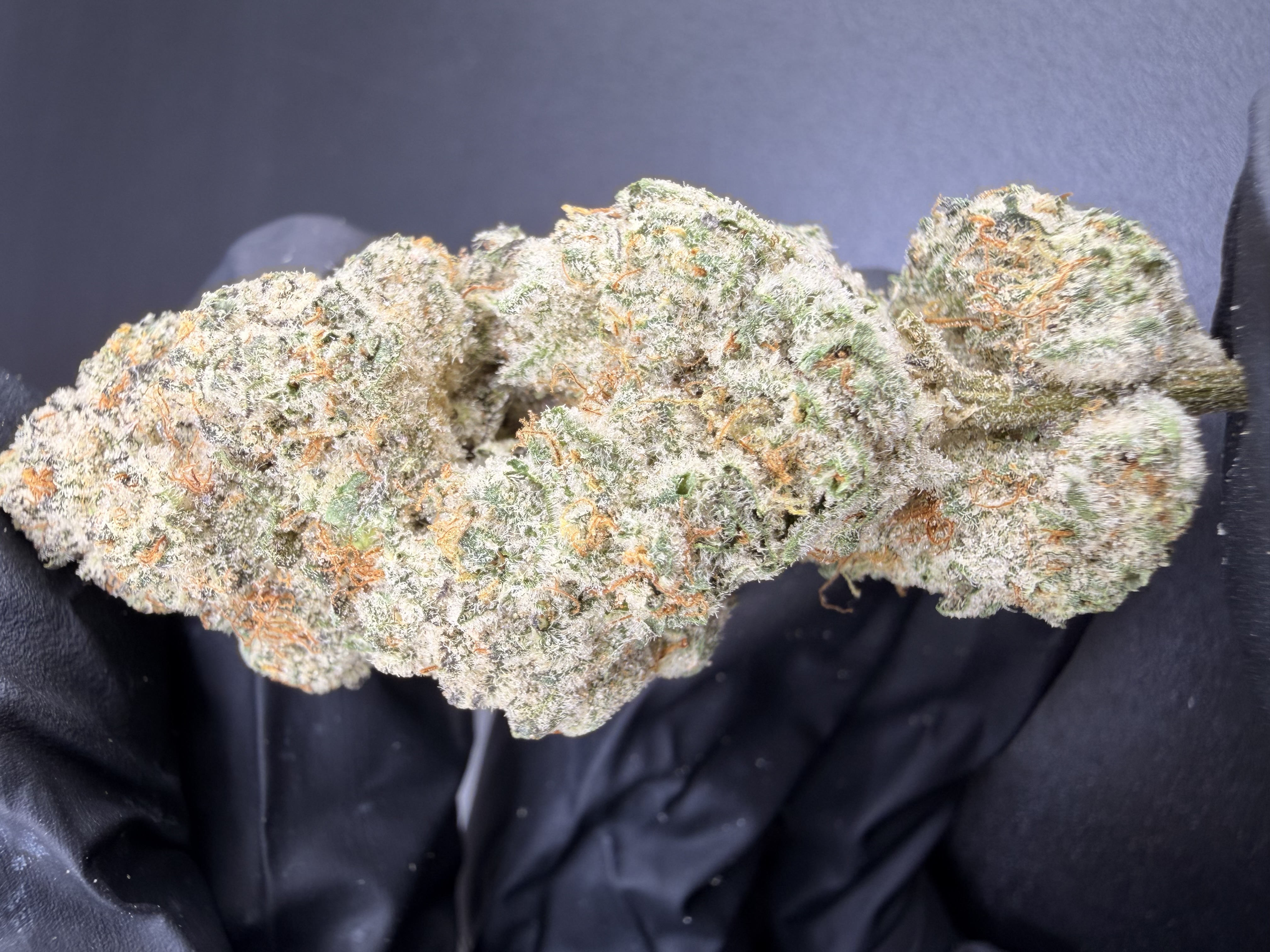 Toad Juice — Toad Venom × JoozeBerriez | Living-Soil THCa Flower